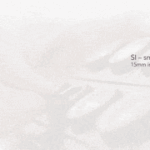 ToolInsert Ecumaster