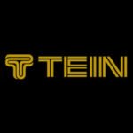 Tein Gold Logo Sticker - 30 cm