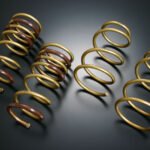 Tein High Tech Lowering Springs for Toyota Alphard (02-08)