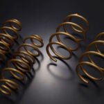 Tein High Tech Lowering Springs for Toyota C-HR