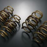 Tein High Tech Springs for Toyota Prius