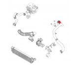 Silicone Intercooler Hose FMIC.EU for OPEL MOVANO B RENAULT MASTER III 2.3D 144600828R - Imagen 3