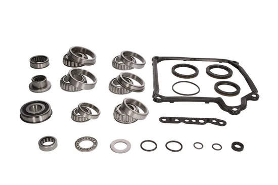 RTMG-901-1390 RTMG Performance Gearbox Bearing Kit Fits DQ250 02E - Imagen 1