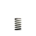 Muelle de la válvula de descarga Turbosmart WG50/60 3PSI