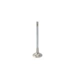 Válvulas de escape ZRP Std de Inconel para Audi VW Volkswagen 4.2L R8 32V 8V FSI - Imagen 2