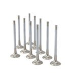 ZRP +1,0mm Exhaust Valves Inconel for Audi VW Volkswagen 2.5L TFSI TT-RS RS3 EA855 - Imagen 3