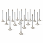 ZRP +1,0mm Exhaust Valves Inconel for Lamborghini 5.2L Gallardo Huracan 2008- - Imagen 3