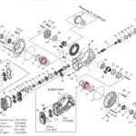 Cono de cojinete Winters, diferencial 7358