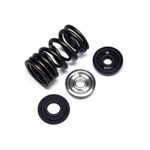 Kit de muelles dobles y retenedores de titanio Brian Crower 2JZ BC0310