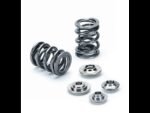 Muelles de válvula SuperTech, VW / AUDI 4.2T 40v V8 (admisión 54 lbs@36,6 mm) (escape 75 lbs@33,7 mm) - Imagen 2